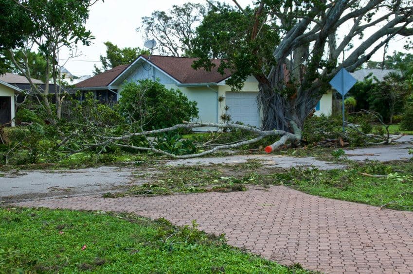 STORM AND HURRICANE REMEDIATION wind damage