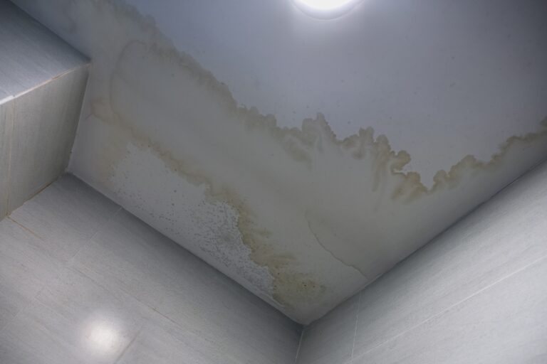 Roof Leak or Ceiling Stain