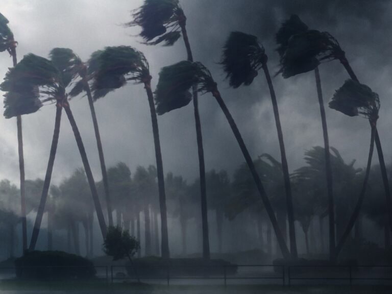 Hurricane Preparedness Checklist for Your Home